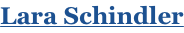 shapeimage_1_link_0
