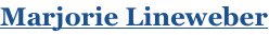 shapeimage_1_link_0