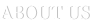 shapeimage_18_link_0